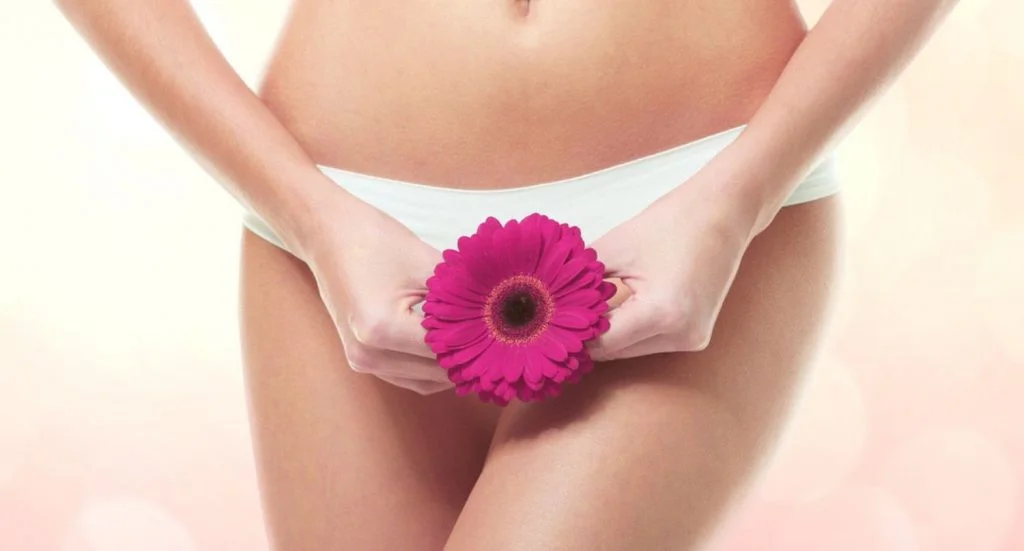 anatomia-genitali-donna
